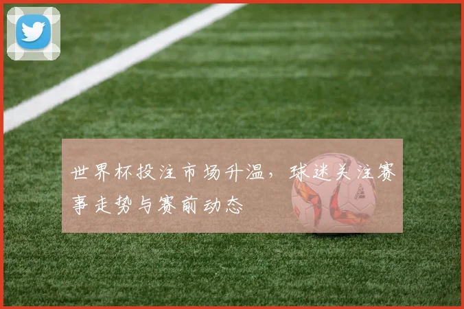 世界杯投注市场升温，球迷关注赛事走势与赛前动态