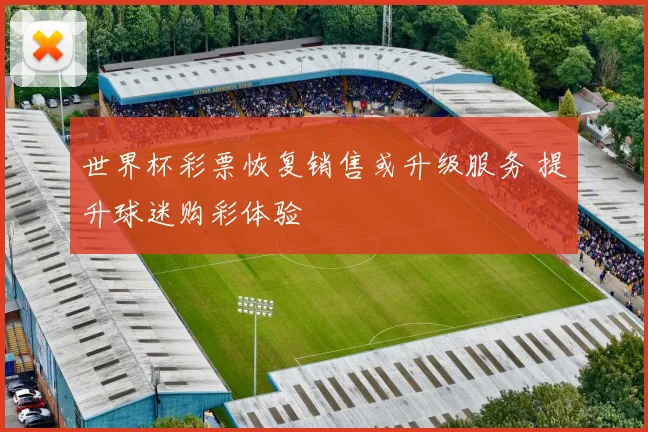 世界杯彩票恢复销售或升级服务 提升球迷购彩体验
