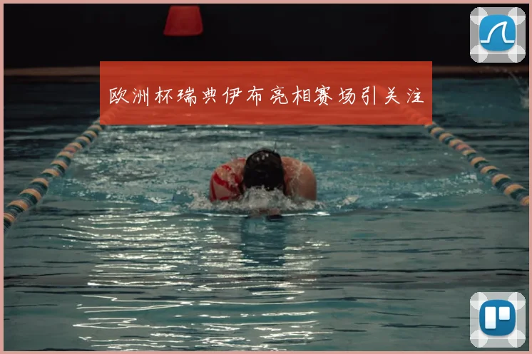 欧洲杯瑞典伊布亮相赛场引关注
