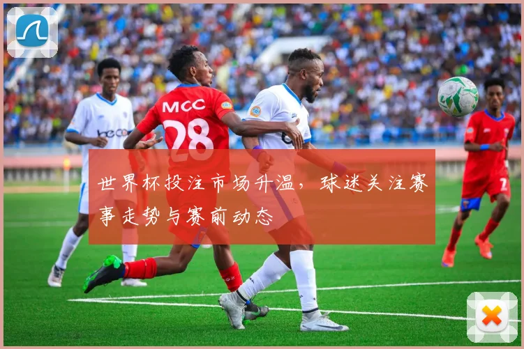 世界杯投注市场升温，球迷关注赛事走势与赛前动态